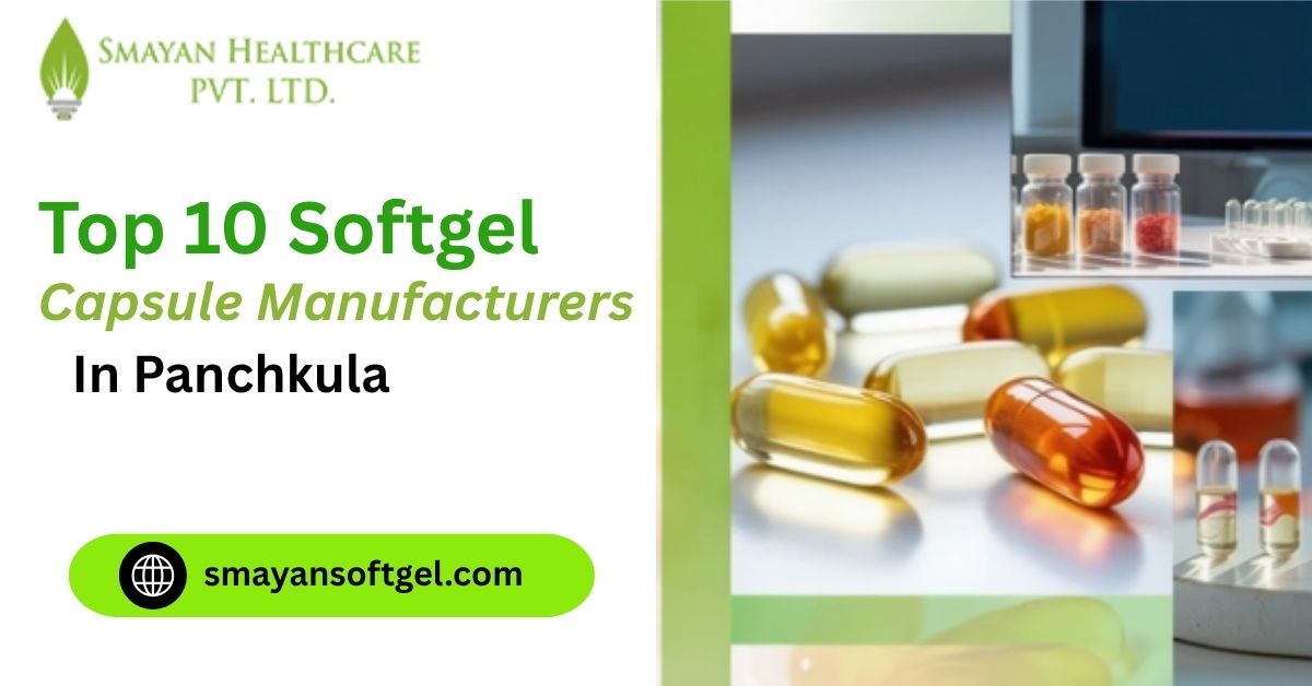 Top 10 Softgel Capsule Manufacturers in Panchkula 
